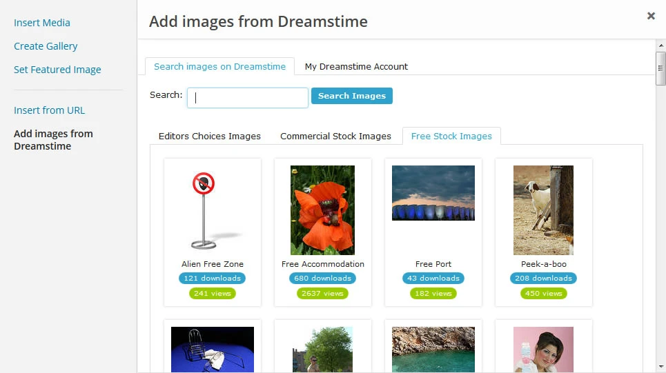 Dreamstime WordPress Plugin Interface